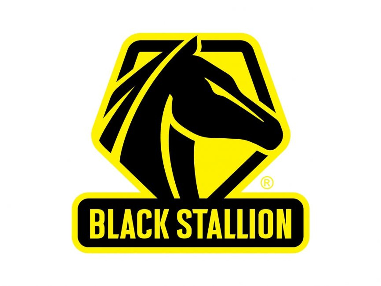 Black Stallion